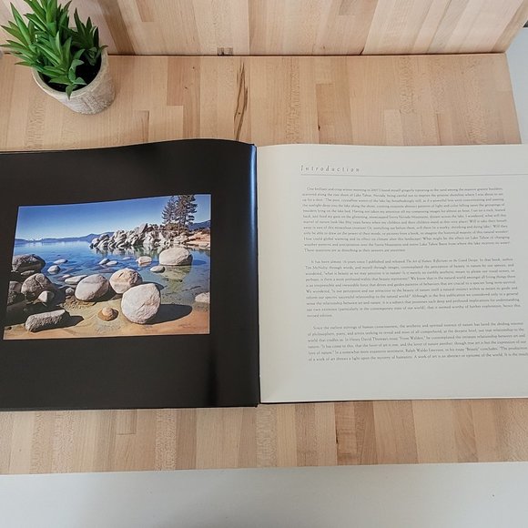 The Art of Nature Reflections on the Grand Design. Time Heinemann & Tim … - Picture 1 of 7